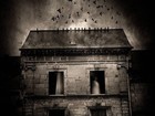 Picture for song 'Diquie Dox - ina haos' by artist 'Diquie Dox'