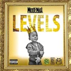Picture for song '*SOLD* Levels' by artist 'DJ Kronic Beats'
