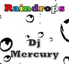 Picture for song 'Raindrops' by artist 'Dj Mercury'