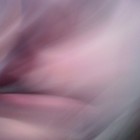 Picture for song 'Chow' by artist 'DJS-FLY'