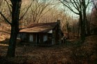 Picture for song 'The Cabin in the Woods' by artist 'Dollar Bill and the Unmentionables'
