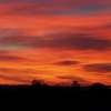Picture for song 'Sunset' by artist 'Dreamsong'
