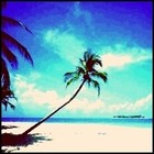 Picture for song 'Summer' by artist 'Drew Costigan'