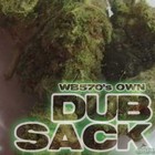 Picture for song 'Dubsack: Sittin Pretty feat Ra-B' by artist 'DUBSACK 570'