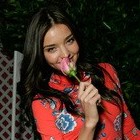 Picture for song 'The Beginning of the End' by artist 'Duk Duk'