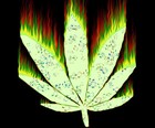 Picture for song 'The Lonely Stoner (Instrumental)' by artist 'Dunk Tha Funk'