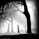 Picture for song 'b ur self' by artist 'Echoes of Life'