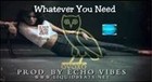 Picture for song 'Whatever you Need (Demo)' by artist 'Echo Vibes'
