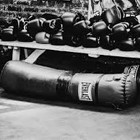 Picture for song 'FLASH (86bpm) | BUY BEAT' by artist 'Edwi Beats'