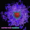 Picture for song 'Bullride' by artist 'Electric Tiger'