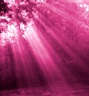 Picture for song 'The Soul Of Roses' by artist 'Emotive Touch'