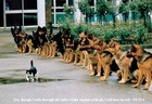 Picture for song 'Confidence' by artist 'equality'