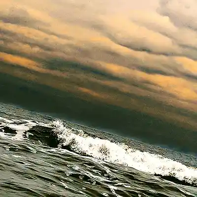 Picture for song 'Badgers Honor [a gENTLY Remix]' by artist 'Err0r'