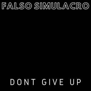 Picture for song 'Dont Give Up' by artist 'Falso Simulacro'
