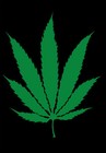Picture for song 'Up In Here ft. Halfbreed' by artist 'Fattay'