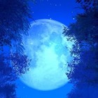 Picture for song 'the moon and back (5/26/2014) super smooth' by artist 'fitful fire beats'