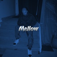 Picture for song 'Mellow (V$N)' by artist 'Foreign Made It'