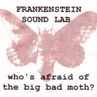 Picture for song 'Like A Moth To A Candle' by artist 'Frankenstein Sound Lab'