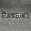 Picture for song 'The Gates of Eon' by artist 'Funestum'