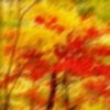 Picture for song 'Thanksgiving' by artist 'George Cuthbertson'