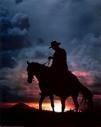 Picture for song 'A Cowboy on Rodeo Drive' by artist 'global SOULdier'