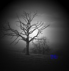 Picture for song 'Bouquet in Bb' by artist 'Graham's Cat'