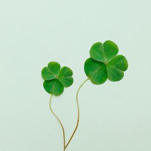 Picture for song 'In a good day' by artist 'Guilherme Yohan'