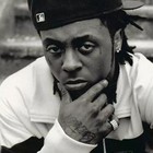 Picture for song '*SOLD* Lionheart' by artist 'Haas Music'