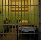 Picture for song 'Prison Madness' by artist 'Ham Salad'