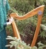 Picture for song 'Star of the County Down' by artist 'HarpSidhe'