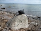 Picture for song 'Monolithic Waves' by artist 'Hasba Calling'