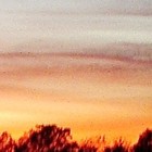 Picture for song 'Tropical Tide' by artist 'haz pro'