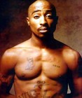 Picture for song 'BILLIONAIRE BEAT!!!!(TUPAC 100%)' by artist 'HighClass Ent.'