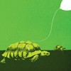 Picture for song 'Hurry Slowly' by artist 'Homeless Balloon'
