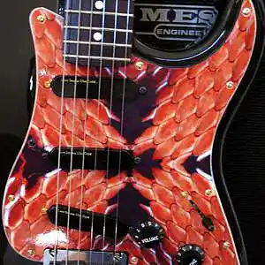 Picture for song 'Tunnel of Love' by artist 'Homoerectus (AUS)'