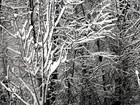Picture for song 'Snowday' by artist 'Hydrogen3'