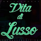 Picture for song 'Vita di Lusso|Demo DL' by artist 'iAmLegendary'