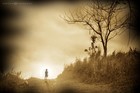 Picture for song 'Tales Of A Dreamer' by artist 'IAmShowout'