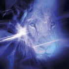 Picture for song 'Mystic' by artist 'Igel-one'