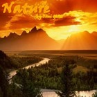 Picture for song 'Sound of Nature' by artist 'Igel-one'