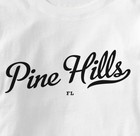 Picture for song 'Undefeated- Pine Hills' by artist 'IM UNDEFEATED'