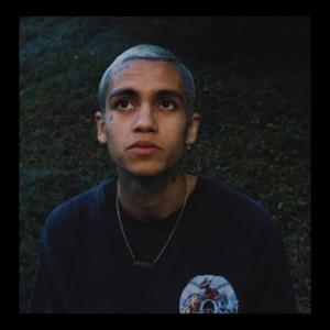 Picture for song 'REAL TALK (Dominic Fike Type Beat)' by artist 'In Bloom'