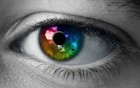 Picture for song 'My Eyes' by artist 'Intellectual Productions'