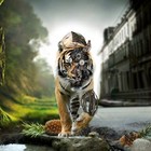 Picture for song 'Futuristic Jungle *hook* || @Itsjustepicb' by artist 'itsjustepicb'