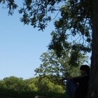 Picture for song 'With the Birds' by artist 'Jake Limon'