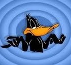 Picture for song 'S.H.R.U.G' by artist 'Jami Ward'