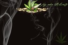 Picture for song 'Statz Vs Bluntz' by artist 'Jay aka Bluntz'