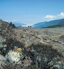 Picture for song 'Life at the Paramo' by artist 'JaySardonic'