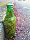 Picture for song 'Bottle of Cigarettes (tenor)' by artist 'Jenelle Hood'