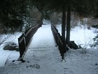 Picture for song ''This Time of Year'/ Artist: Kent Gray' by artist 'Jimmy Muffin Yessian'